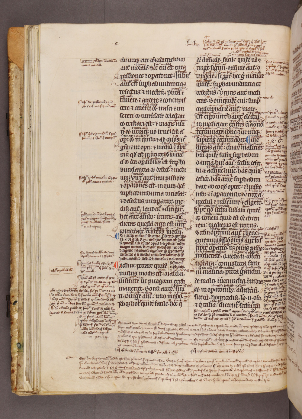 Folio 48 verso